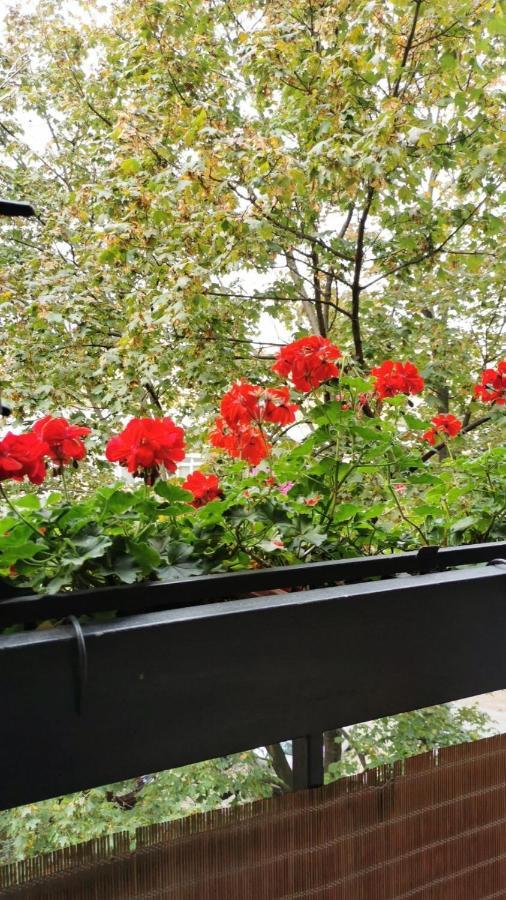 Apartman Lavanda Nowy Sad Zewnętrze zdjęcie
