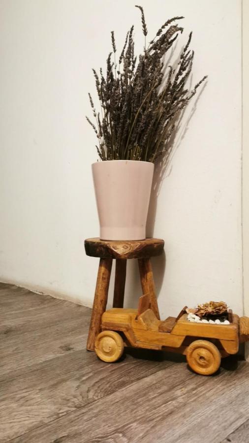 Apartman Lavanda Nowy Sad Zewnętrze zdjęcie